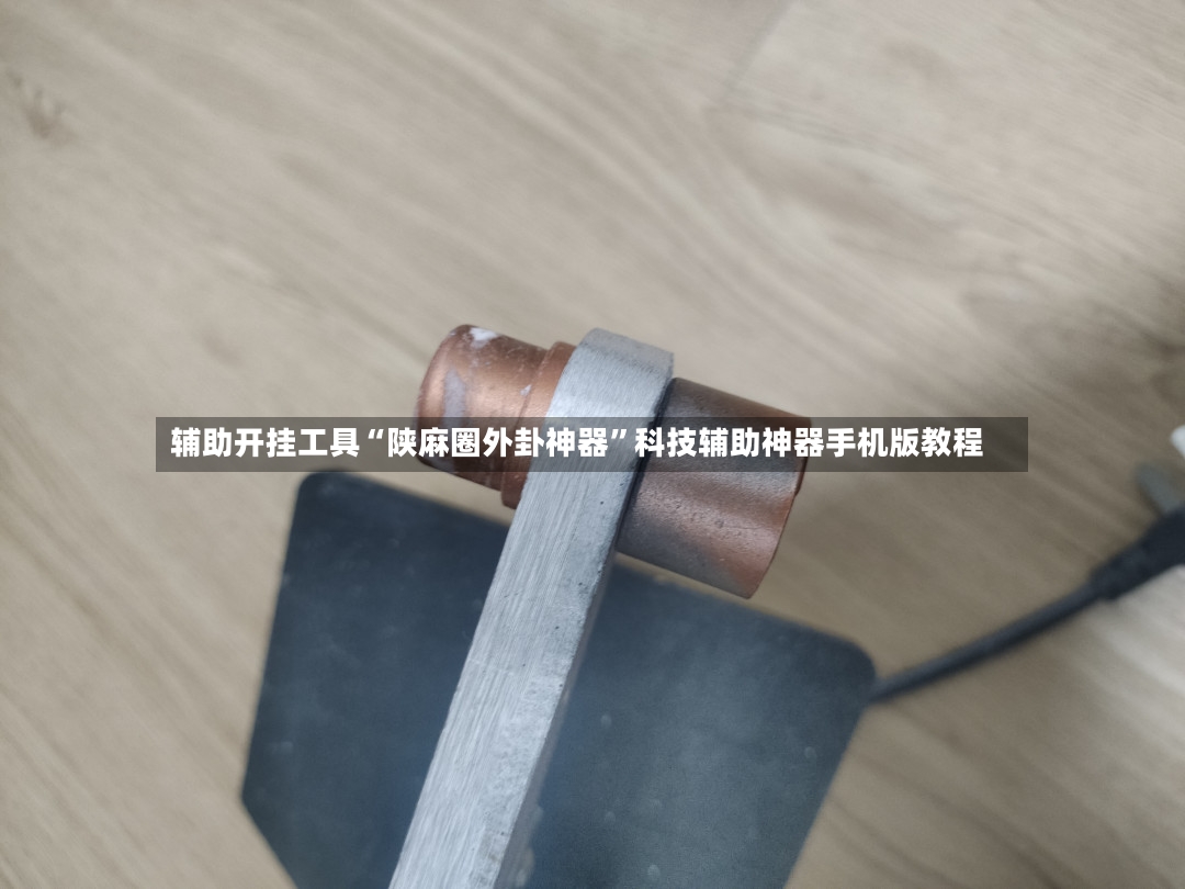 辅助开挂工具“陕麻圈外卦神器”科技辅助神器手机版教程-第3张图片