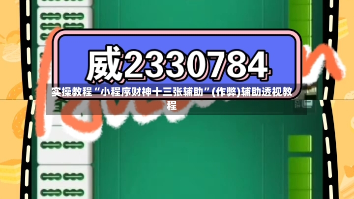 实操教程“小程序财神十三张辅助”(作弊)辅助透视教程-第3张图片
