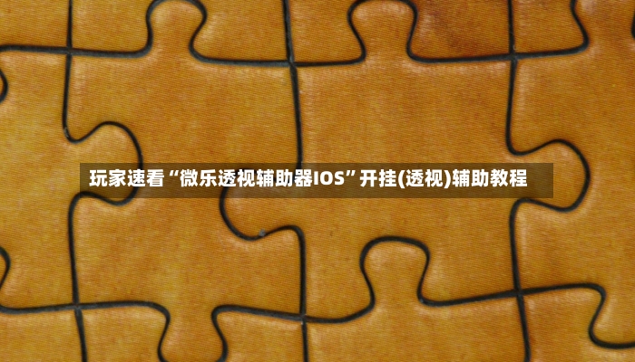 玩家速看“微乐透视辅助器IOS”开挂(透视)辅助教程