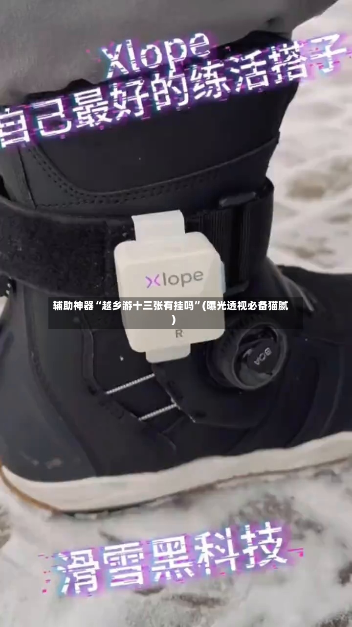 辅助神器“越乡游十三张有挂吗	”(曝光透视必备猫腻)-第2张图片