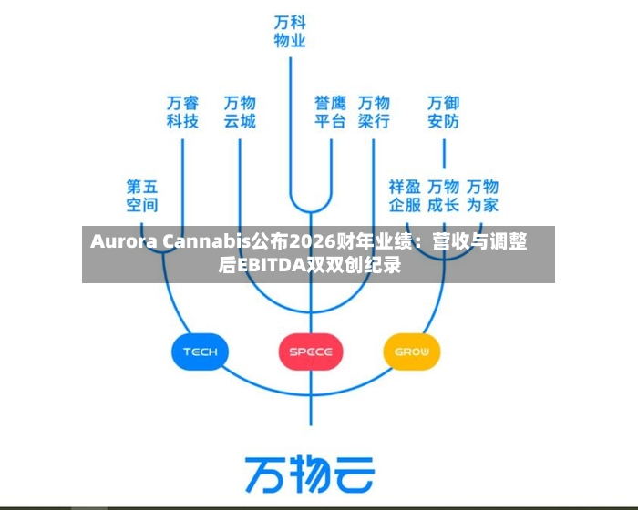Aurora Cannabis公布2026财年业绩：营收与调整后EBITDA双双创纪录-第2张图片