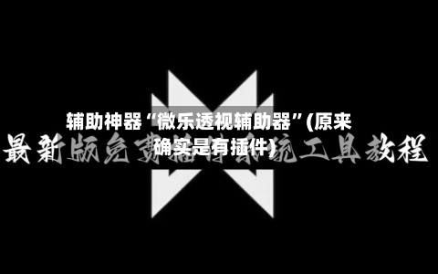 辅助神器“微乐透视辅助器”(原来确实是有插件)