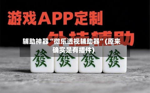 辅助神器“微乐透视辅助器	”(原来确实是有插件)-第3张图片