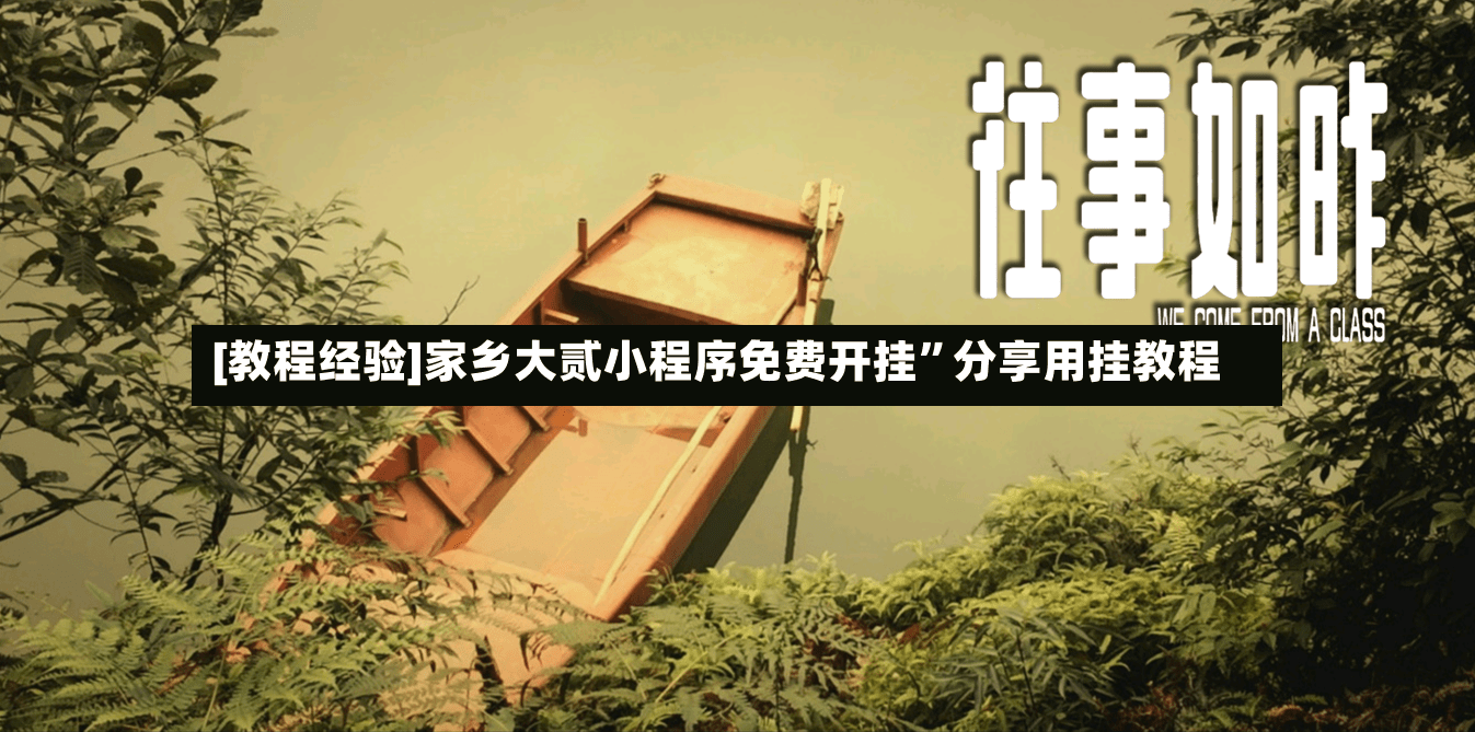 [教程经验]家乡大贰小程序免费开挂”分享用挂教程-第3张图片