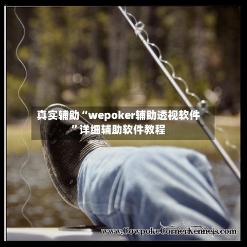 真实辅助“wepoker辅助透视软件”详细辅助软件教程-第2张图片
