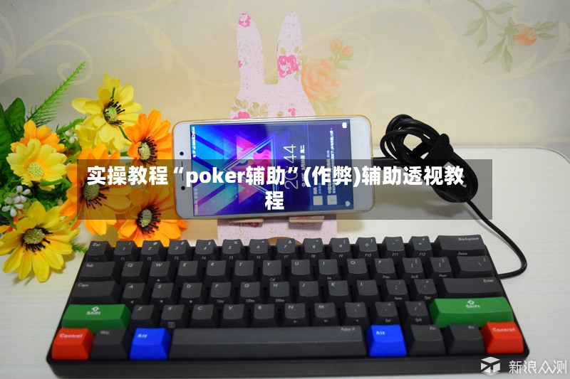 实操教程“poker辅助	”(作弊)辅助透视教程-第2张图片