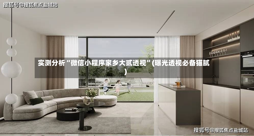 实测分析“微信小程序家乡大贰透视”(曝光透视必备猫腻)-第2张图片