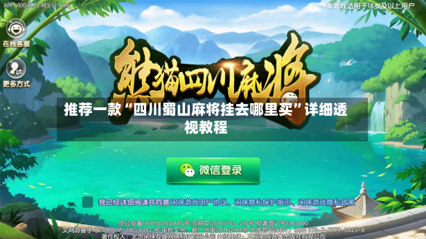 推荐一款“四川蜀山麻将挂去哪里买”详细透视教程-第3张图片