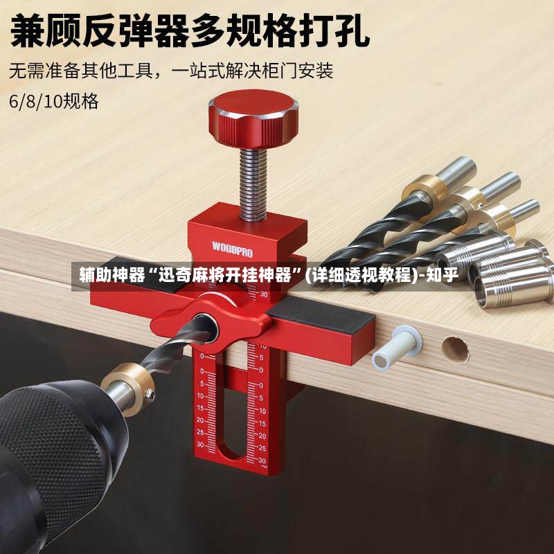 辅助神器“迅奇麻将开挂神器	”(详细透视教程)-知乎-第2张图片