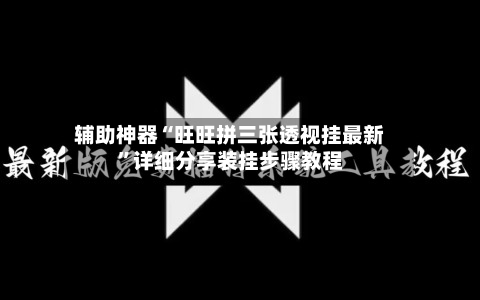 辅助神器“旺旺拼三张透视挂最新	”详细分享装挂步骤教程-第2张图片