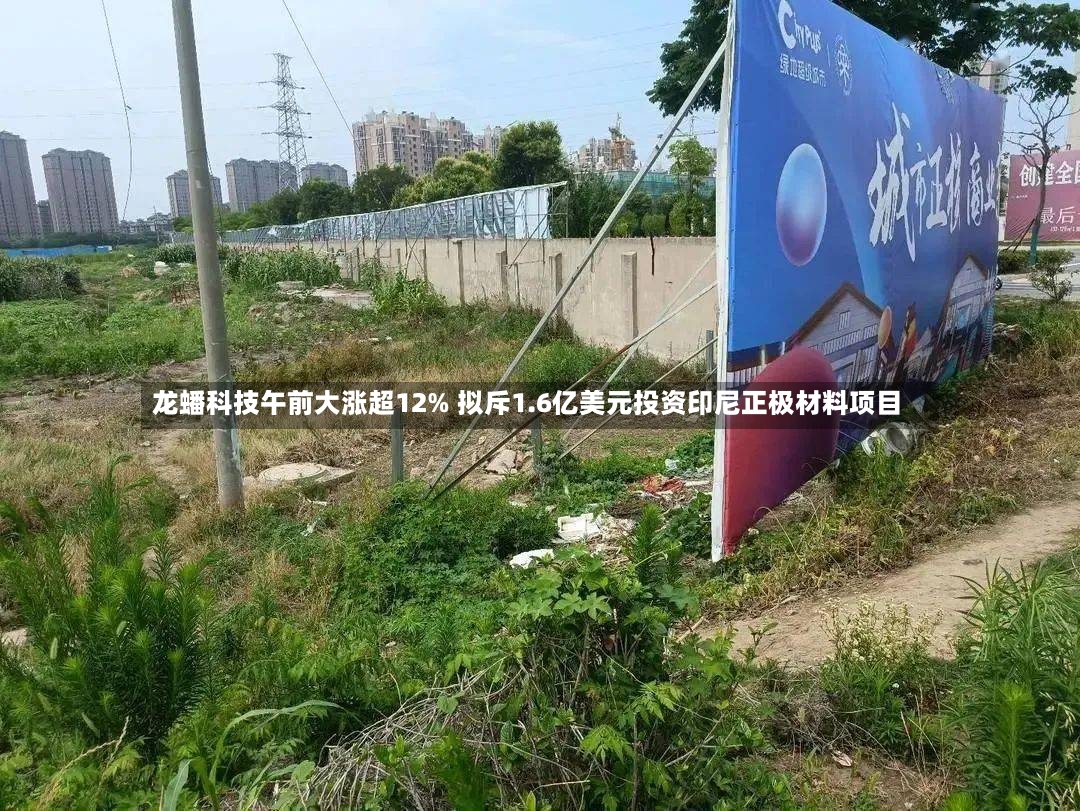 龙蟠科技午前大涨超12% 拟斥1.6亿美元投资印尼正极材料项目