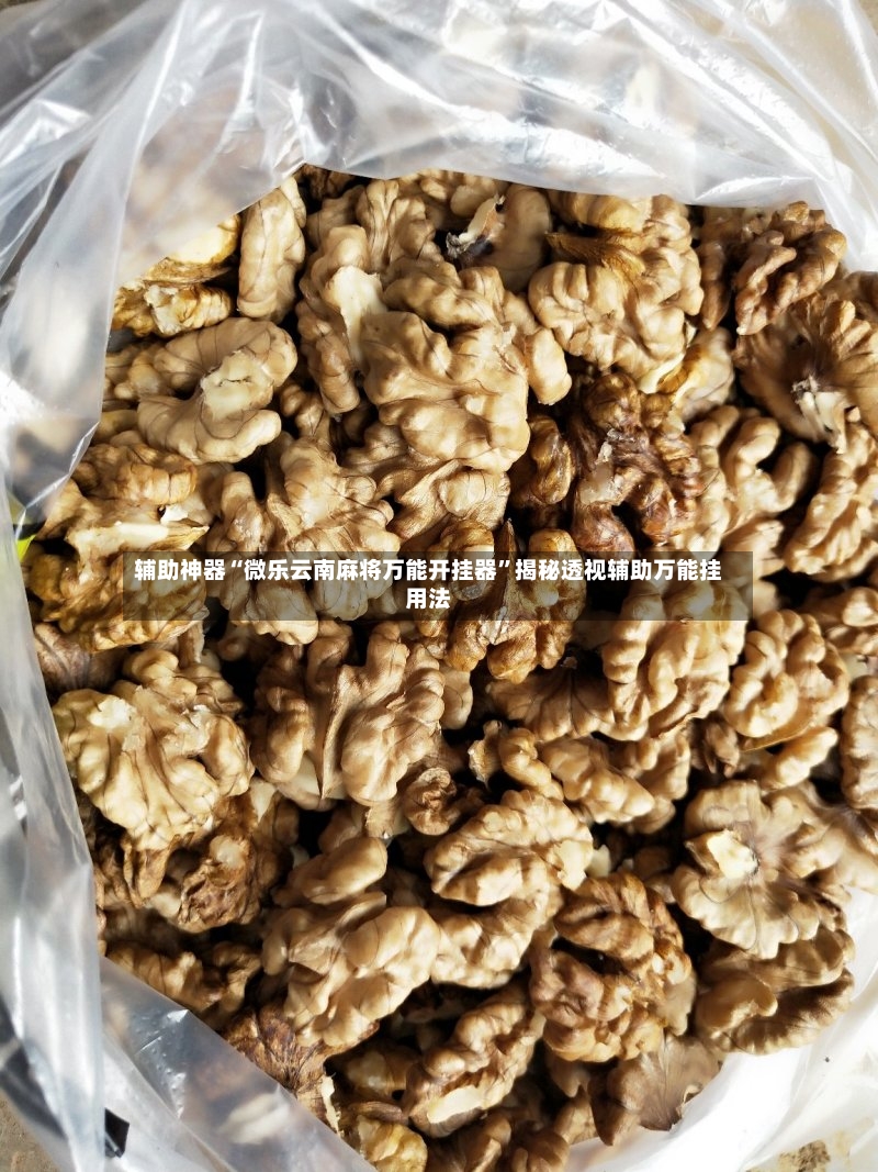 辅助神器“微乐云南麻将万能开挂器”揭秘透视辅助万能挂用法