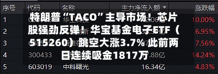 特朗普“TACO”主导市场！芯片股强劲反弹！华宝基金电子ETF（515260）跳空大涨3.7% 此前两日连续吸金1817万-第3张图片