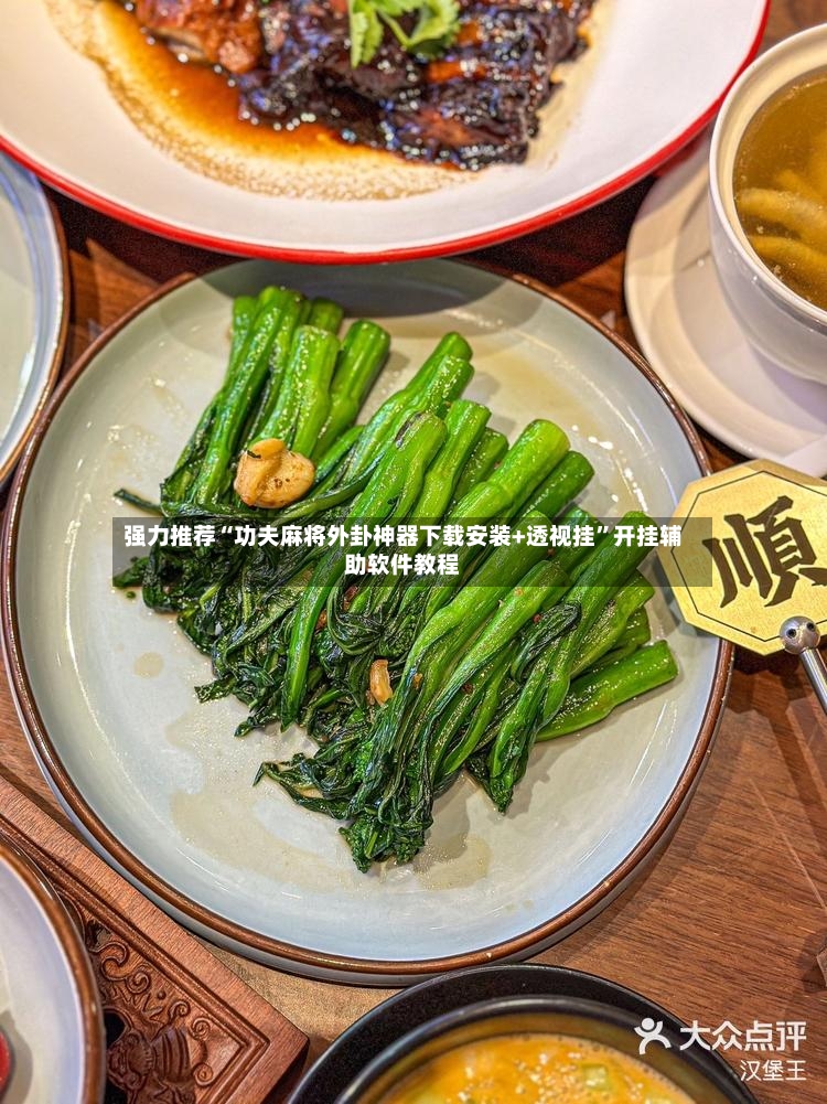 强力推荐“功夫麻将外卦神器下载安装+透视挂”开挂辅助软件教程