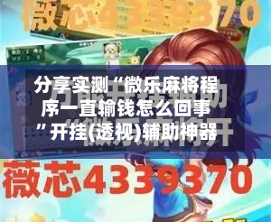 分享实测“微乐麻将程序一直输钱怎么回事”开挂(透视)辅助神器-第2张图片