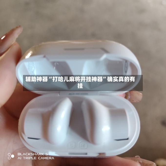 辅助神器“打哈儿麻将开挂神器”确实真的有挂