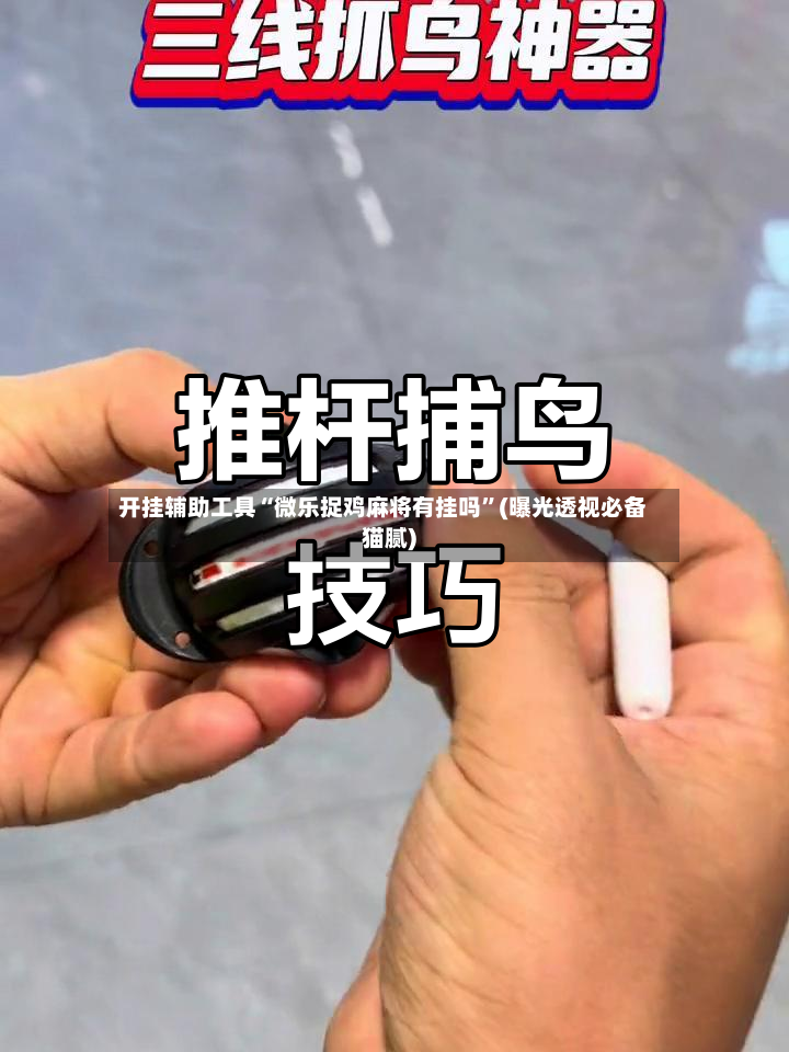 开挂辅助工具“微乐捉鸡麻将有挂吗	”(曝光透视必备猫腻)-第2张图片