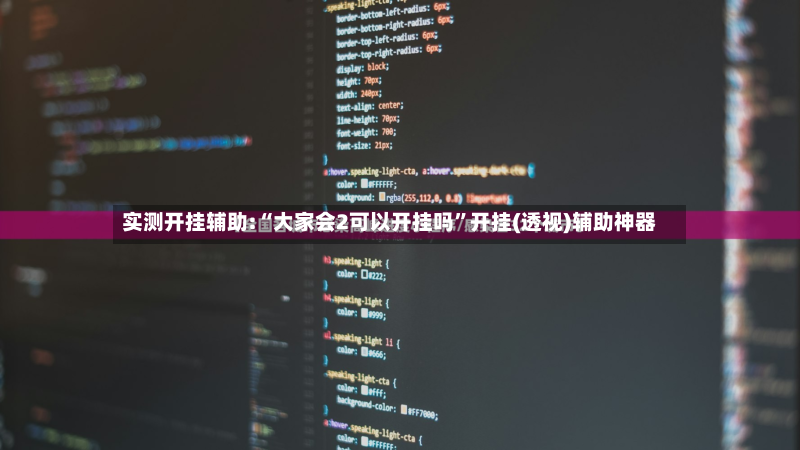 实测开挂辅助:“大家会2可以开挂吗”开挂(透视)辅助神器-第2张图片