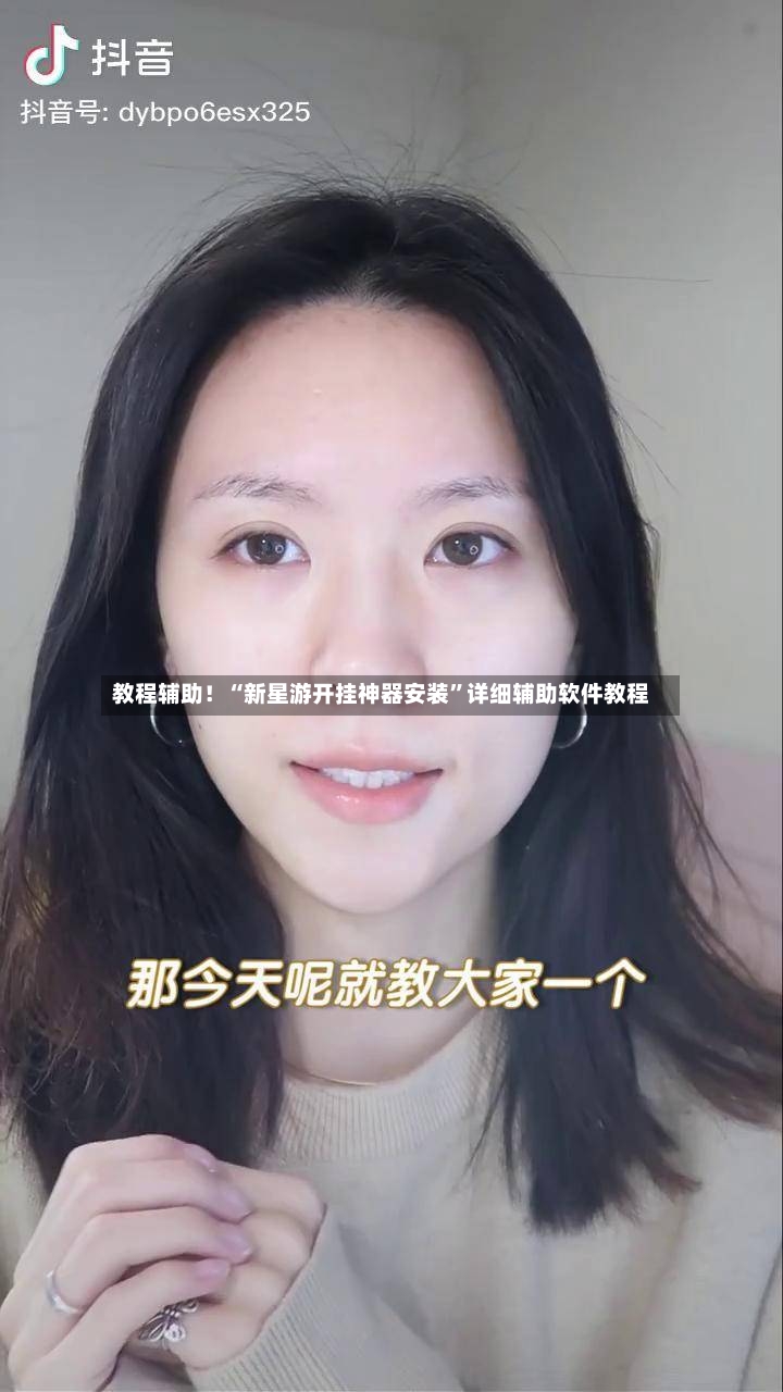 教程辅助！“新星游开挂神器安装”详细辅助软件教程-第3张图片