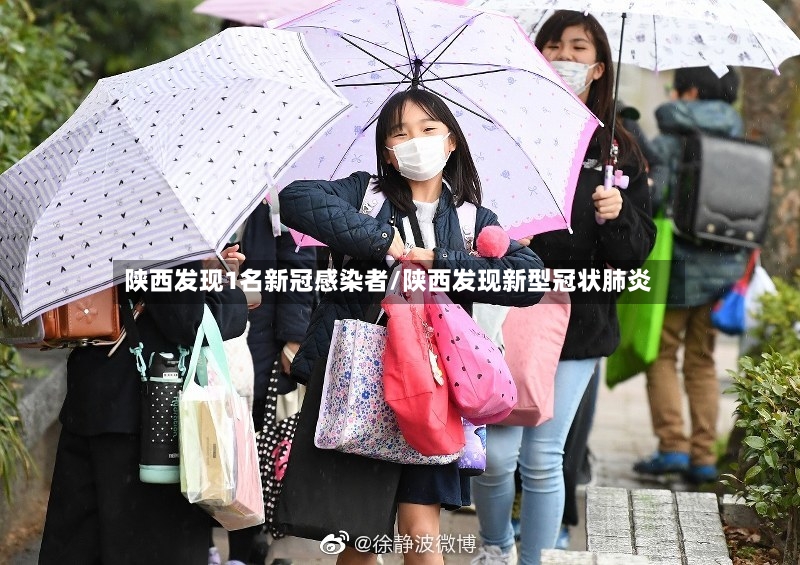 陕西发现1名新冠感染者/陕西发现新型冠状肺炎-第3张图片
