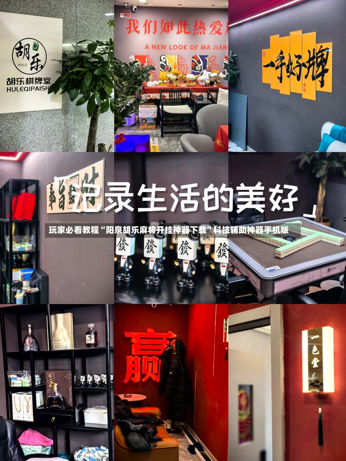 玩家必看教程“阳泉胡乐麻将开挂神器下载”科技辅助神器手机版