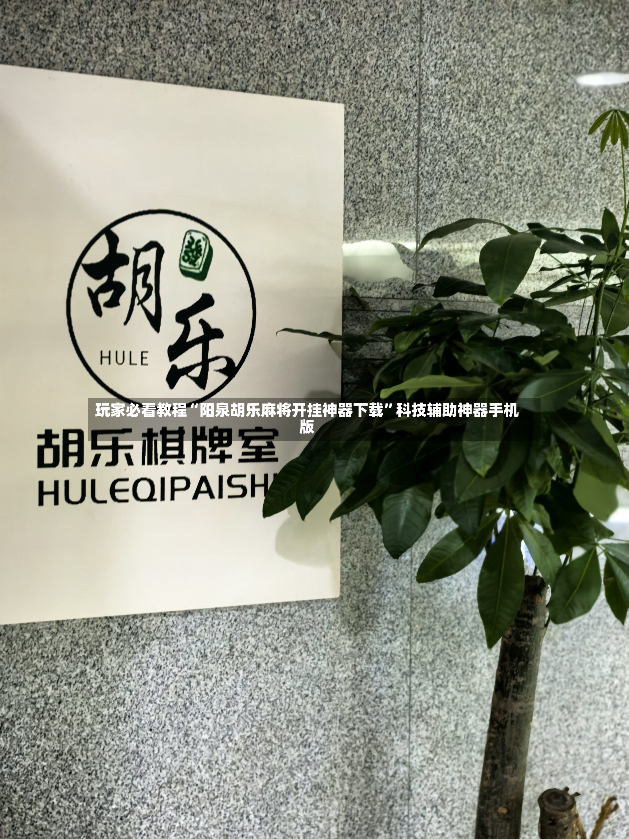 玩家必看教程“阳泉胡乐麻将开挂神器下载”科技辅助神器手机版-第3张图片