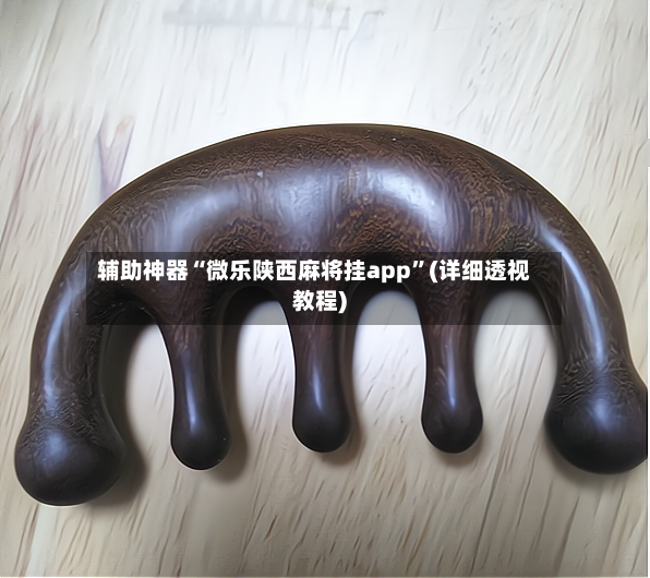 辅助神器“微乐陕西麻将挂app”(详细透视教程)