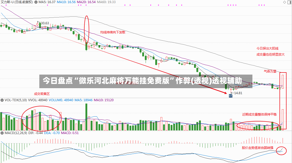 今日盘点“微乐河北麻将万能挂免费版”作弊(透视)透视辅助-第3张图片