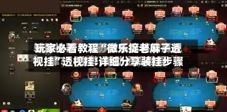 玩家必看教程“微乐捉老麻子透视挂”透视挂!详细分享装挂步骤-第3张图片