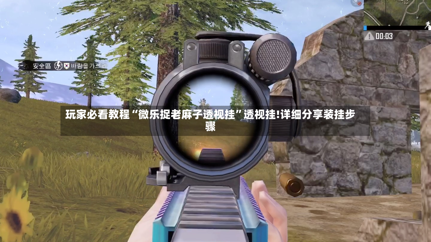 玩家必看教程“微乐捉老麻子透视挂”透视挂!详细分享装挂步骤-第2张图片