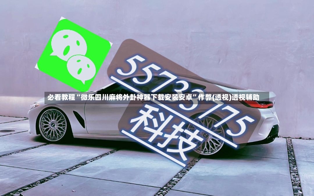 必看教程“微乐四川麻将外卦神器下载安装安卓”作弊(透视)透视辅助-第2张图片
