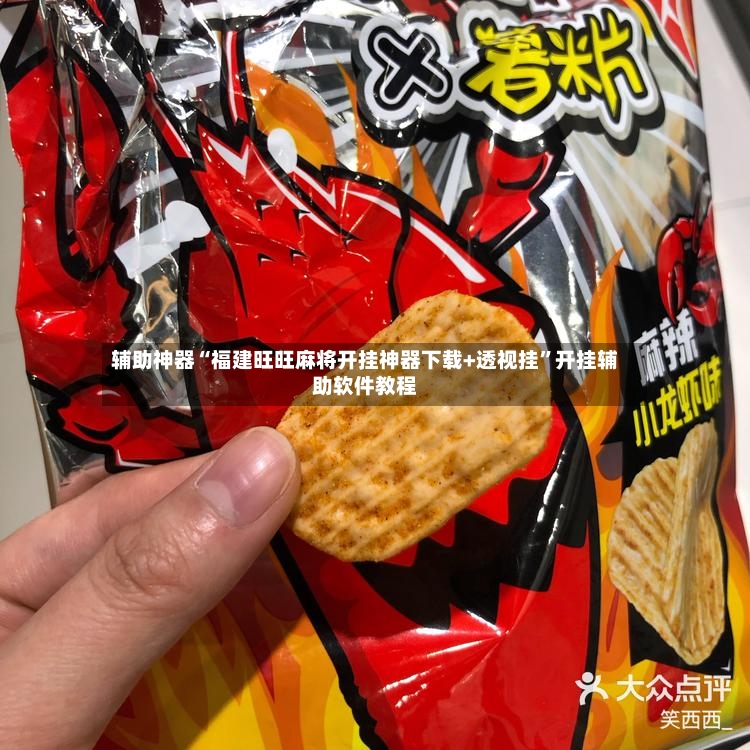 辅助神器“福建旺旺麻将开挂神器下载+透视挂”开挂辅助软件教程-第2张图片
