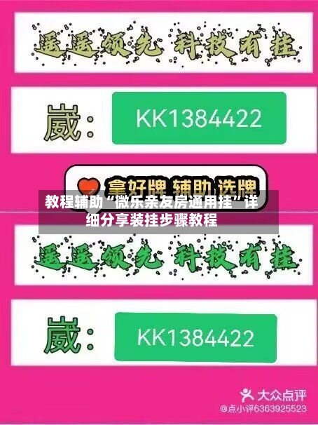 教程辅助“微乐亲友房通用挂”详细分享装挂步骤教程