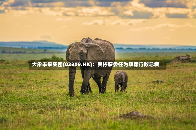 大象未来集团(02309.HK)：贺栋获委任为联席行政总裁