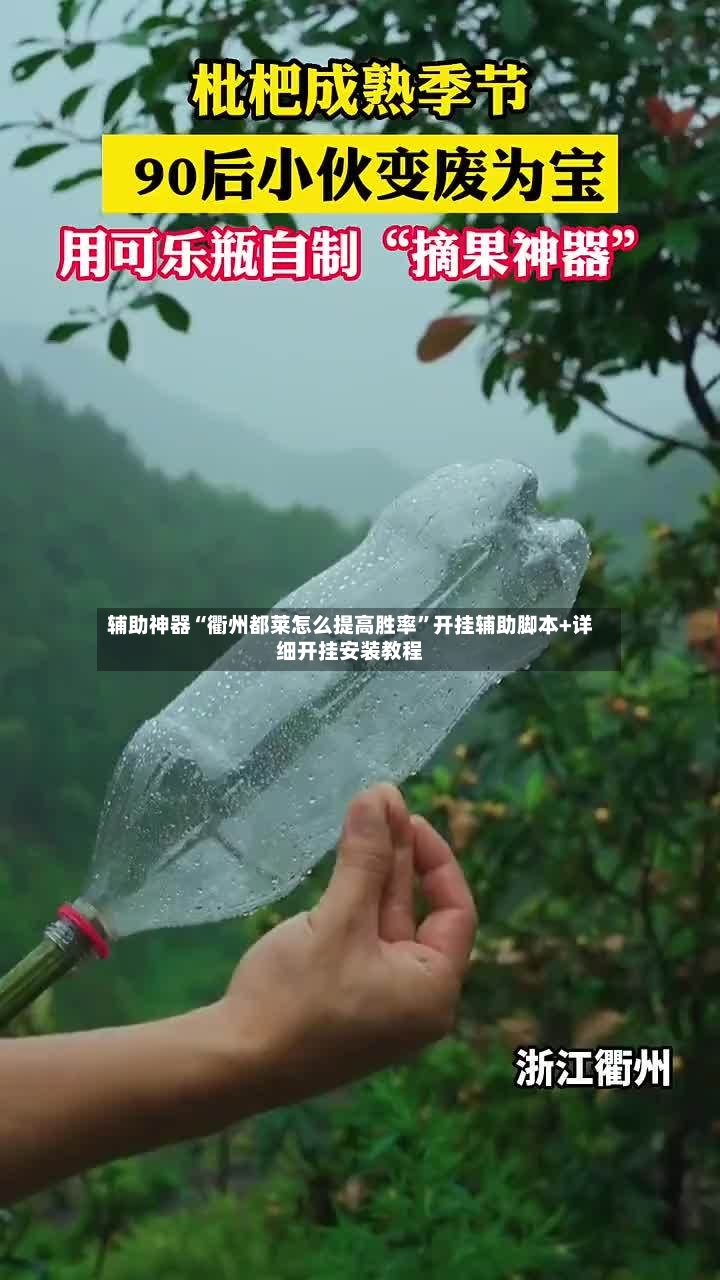 辅助神器“衢州都莱怎么提高胜率”开挂辅助脚本+详细开挂安装教程-第3张图片