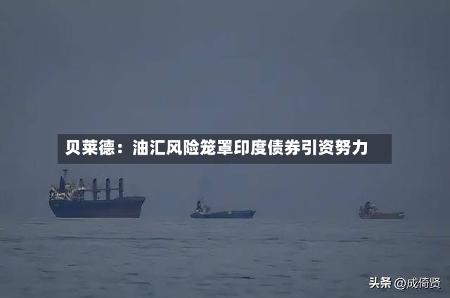 贝莱德：油汇风险笼罩印度债券引资努力-第3张图片