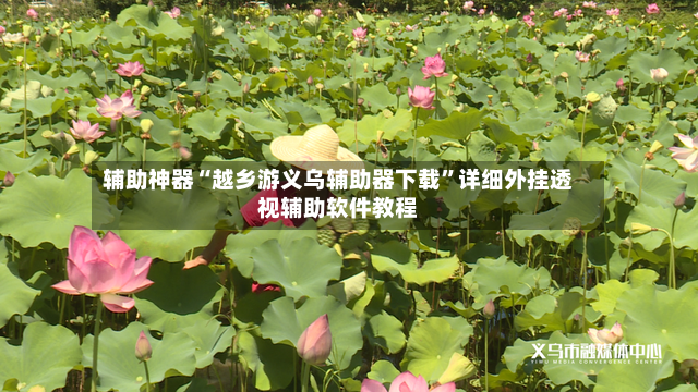 辅助神器“越乡游义乌辅助器下载”详细外挂透视辅助软件教程-第3张图片