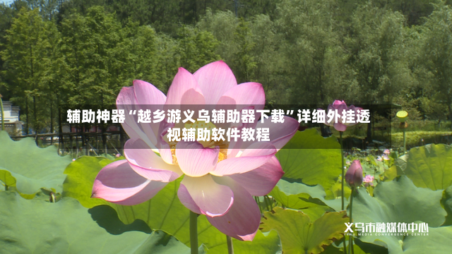 辅助神器“越乡游义乌辅助器下载”详细外挂透视辅助软件教程