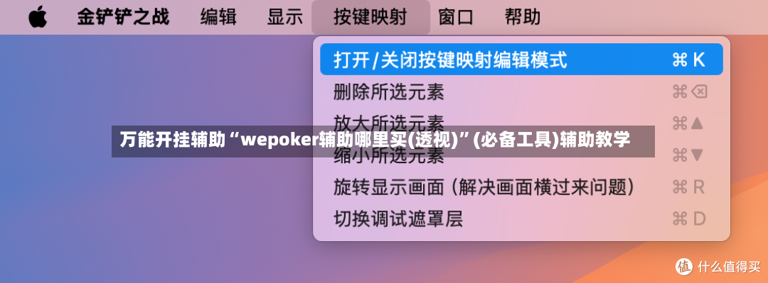 万能开挂辅助“wepoker辅助哪里买(透视)”(必备工具)辅助教学-第2张图片