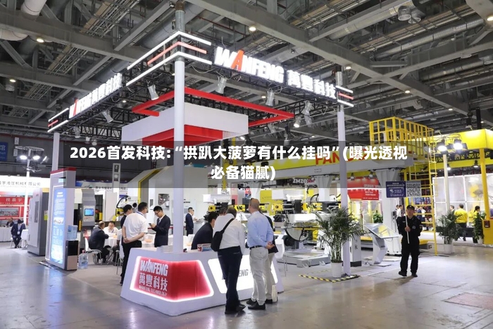 2026首发科技:“拱趴大菠萝有什么挂吗”(曝光透视必备猫腻)-第2张图片
