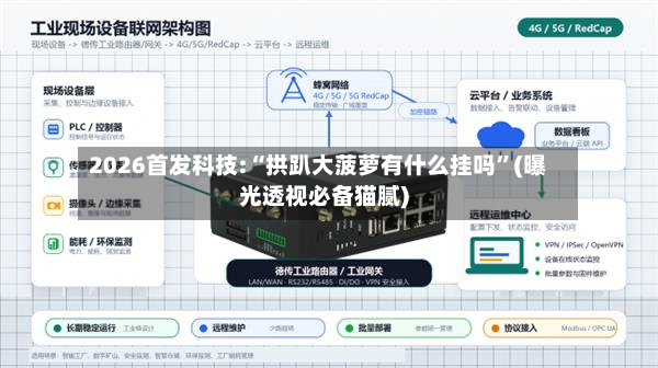 2026首发科技:“拱趴大菠萝有什么挂吗”(曝光透视必备猫腻)-第3张图片