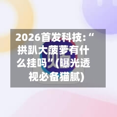 2026首发科技:“拱趴大菠萝有什么挂吗”(曝光透视必备猫腻)