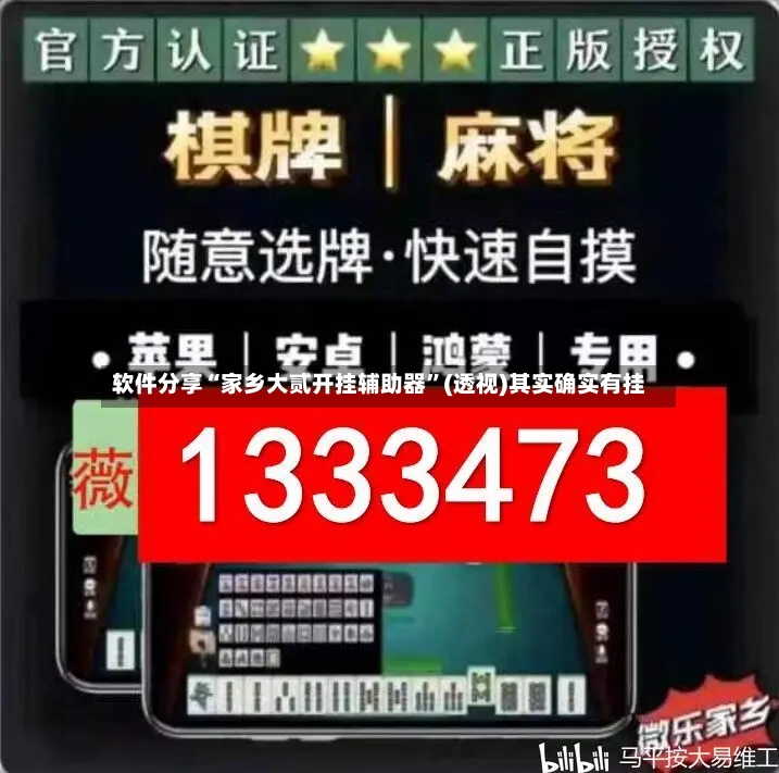 软件分享“家乡大贰开挂辅助器”(透视)其实确实有挂