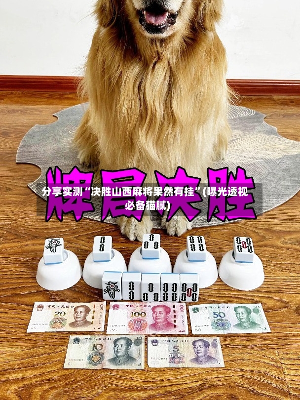 分享实测“决胜山西麻将果然有挂	”(曝光透视必备猫腻)-第2张图片