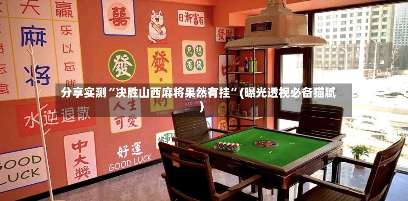 分享实测“决胜山西麻将果然有挂”(曝光透视必备猫腻)