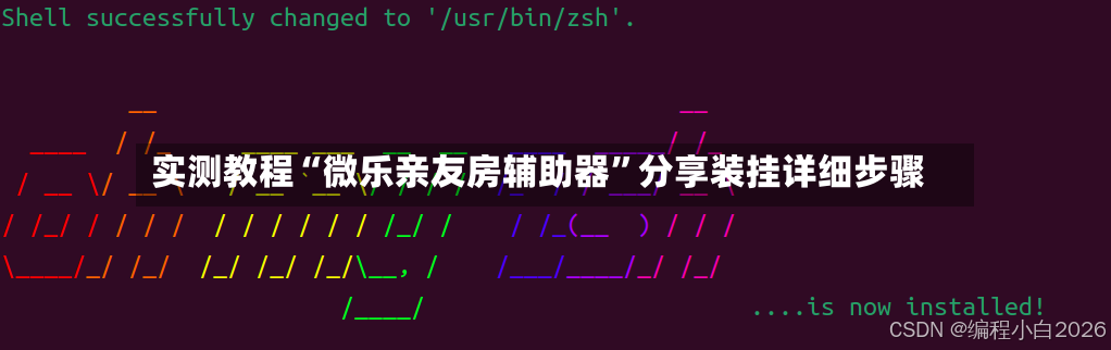 实测教程“微乐亲友房辅助器”分享装挂详细步骤