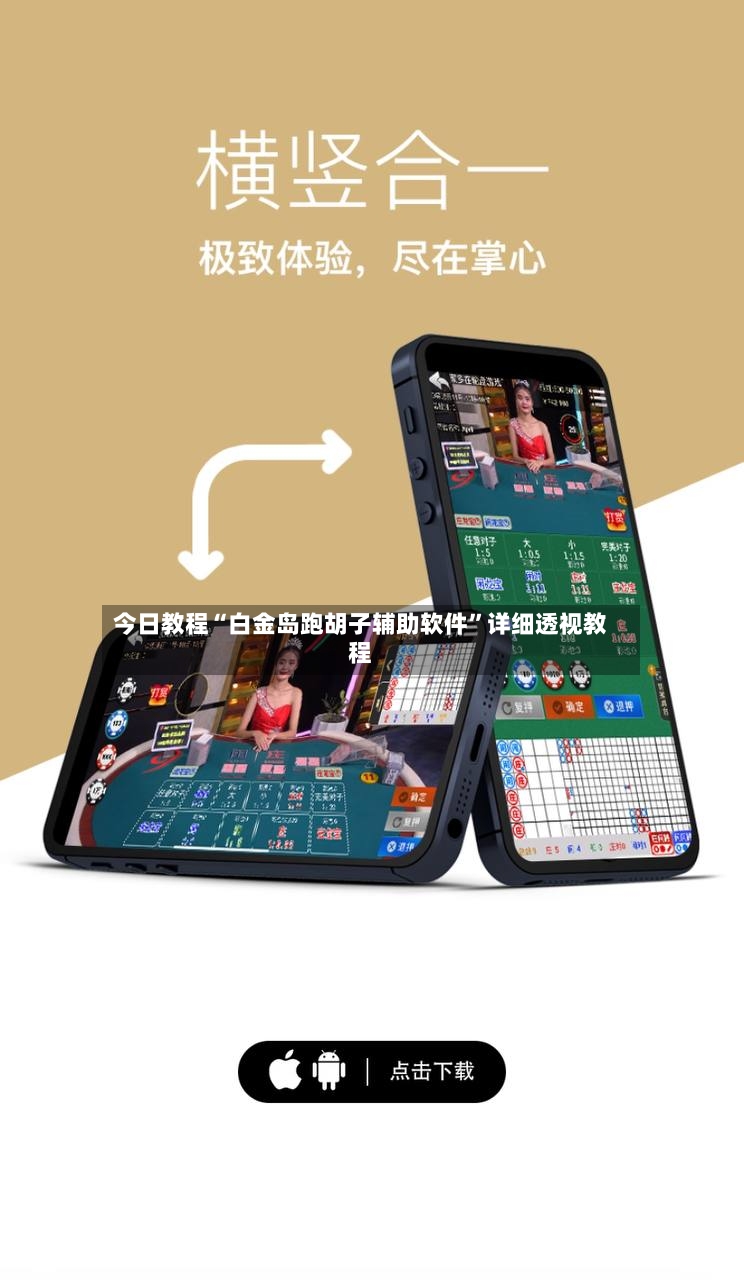 今日教程“白金岛跑胡子辅助软件”详细透视教程-第3张图片