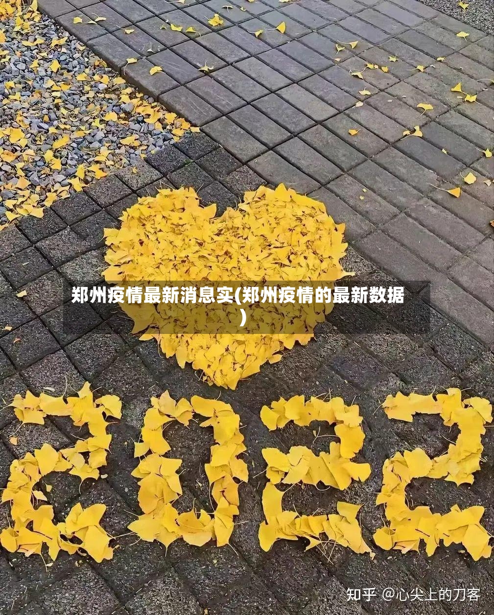 郑州疫情最新消息实(郑州疫情的最新数据)