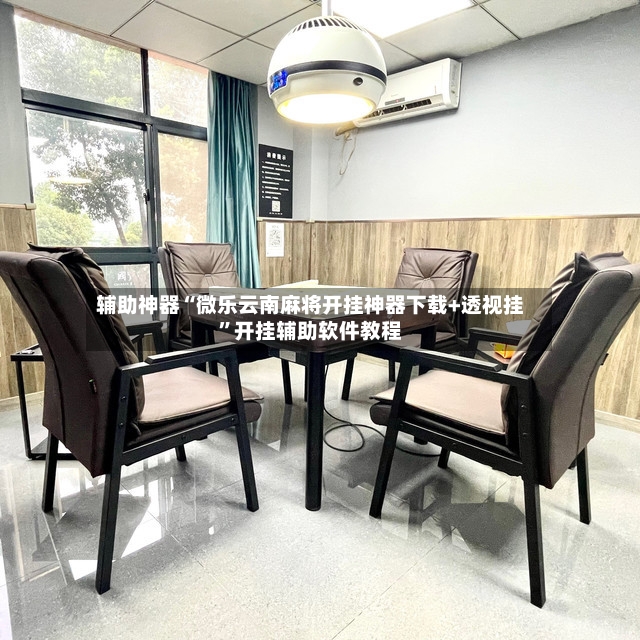 辅助神器“微乐云南麻将开挂神器下载+透视挂”开挂辅助软件教程-第3张图片