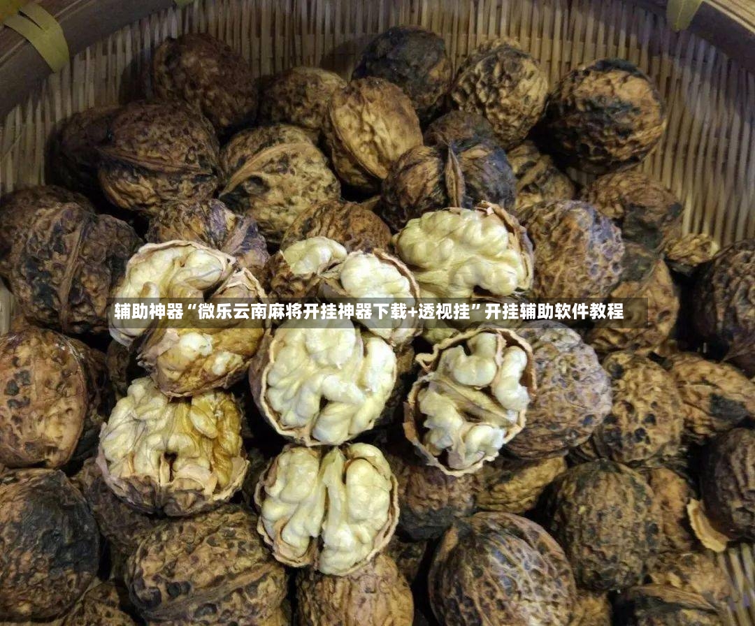 辅助神器“微乐云南麻将开挂神器下载+透视挂”开挂辅助软件教程-第2张图片